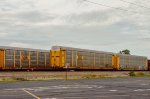 TTGX CSX Autoracks in the yard